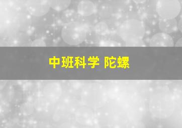 中班科学 陀螺